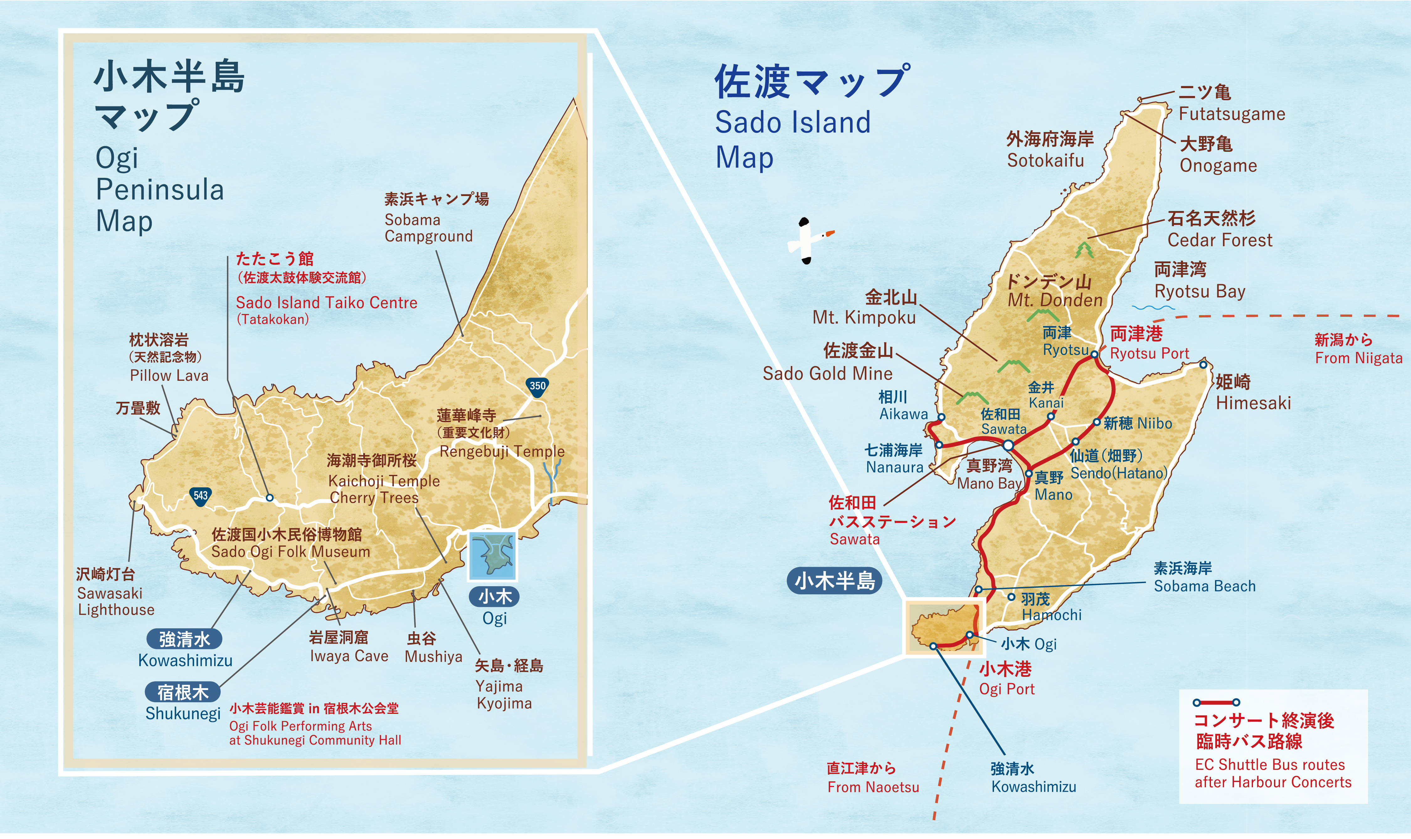 臨時バス_運行MAP